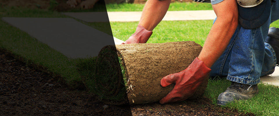 Durand Landscapers